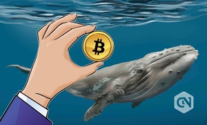 news image for Whales' fluctuating interest pushes crypto into a state of flux