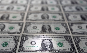 news image for Dollar holds gains on U.S. bank results, kiwi slides on CPI data